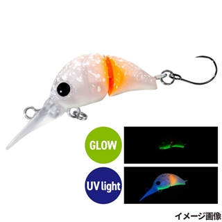 019 ミカンダイフクG