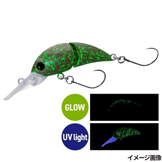 020 ユウワクヒカリゴケ