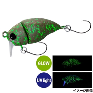 020 ユウワクヒカリゴケ