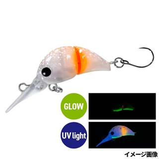 019 ミカンダイフクG