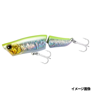 005 ホロチャートバック