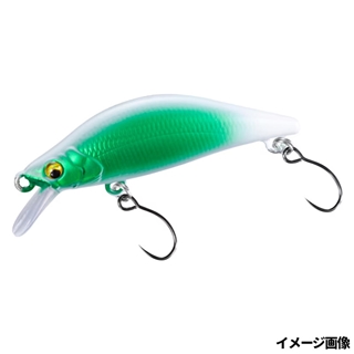 010 テレストリアル