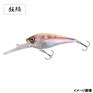 004 キョウリンワカサギ