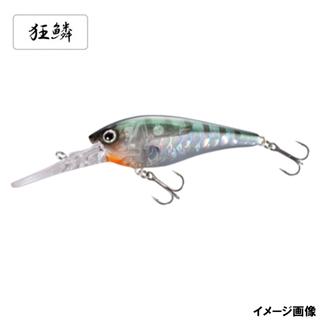 005 キョウリンギル