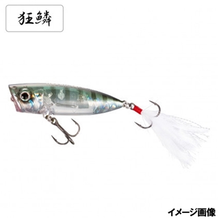 005 キョウリンギル