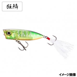 010 ホットタイガー