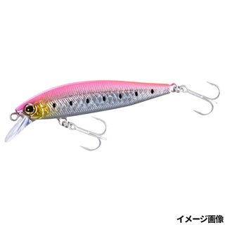 015 キョウリンイワシP