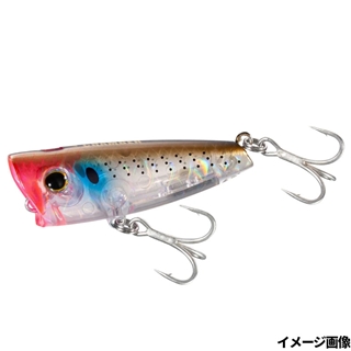 017 トウリンイナッコ