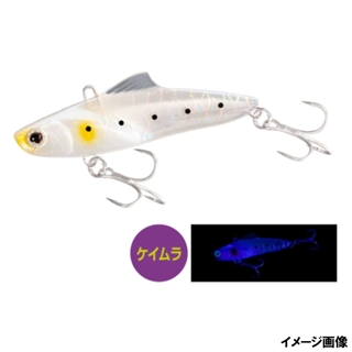 018 トウリンイワシ