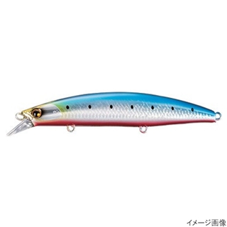 001 キョウリンイワシ