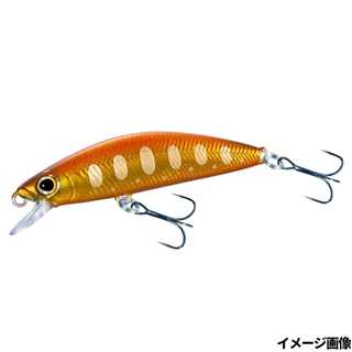 023 キンピカヤマメ