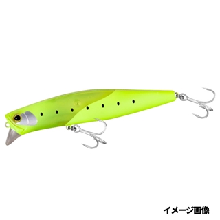 005 マットチャートイワシ