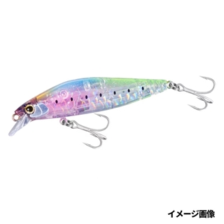 006 Tクリアイワシ