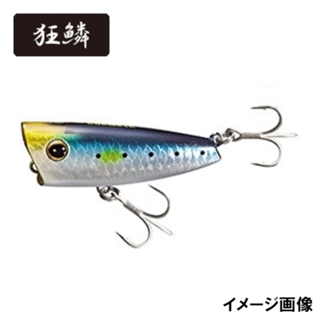 011 キョウリンイワシ