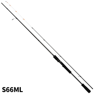 アークシオン ティップラン S66ML
