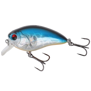 ブルーシャッド