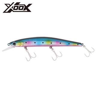 キャンディーイワシ