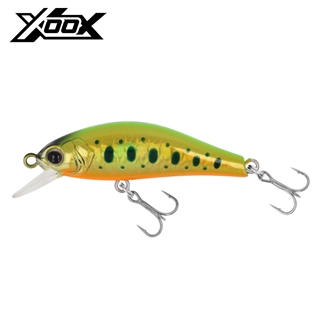 ゴールドヤマメ