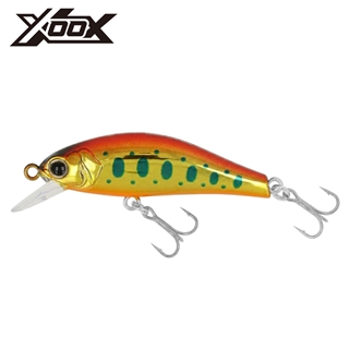 アカキンヤマメ