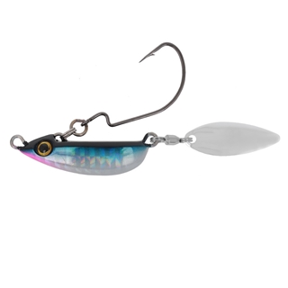 カタクチイワシ