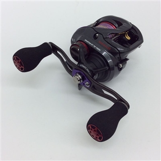 値下中 美品ダイワ キャタリナTW 100PL-RM＋スタジオコンポジット