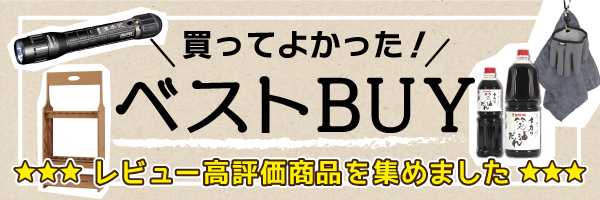 ベストバイ