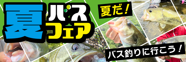 バスフェア